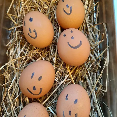 Отель Garni Landhaus Florian 3*