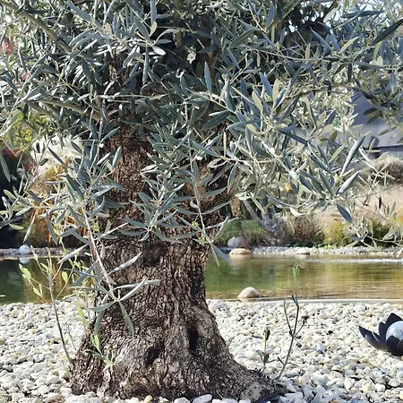 Garni Florian Hotel 3*