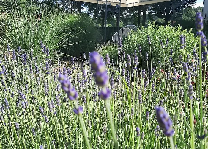 Garni Florian Bad Blumau