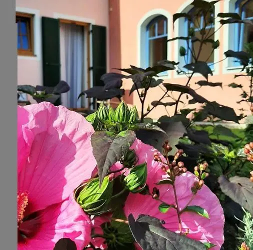 فندق Garni Florian باد بلوماو