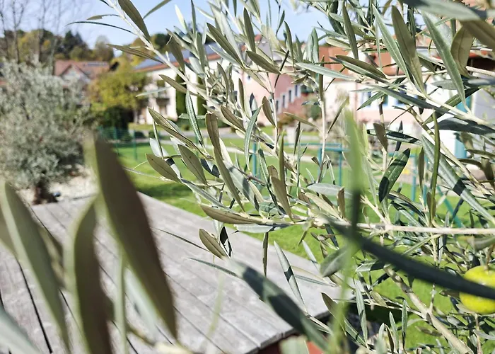 فندق Garni Florian باد بلوماو