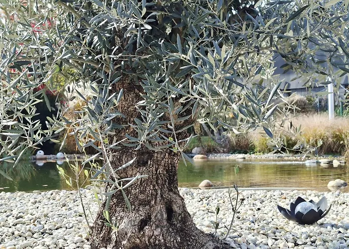 Garni Florian Ξενοδοχείο 3*